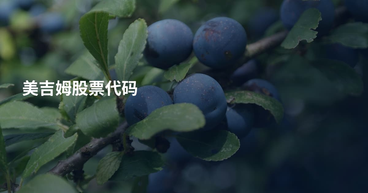美吉姆股票代码