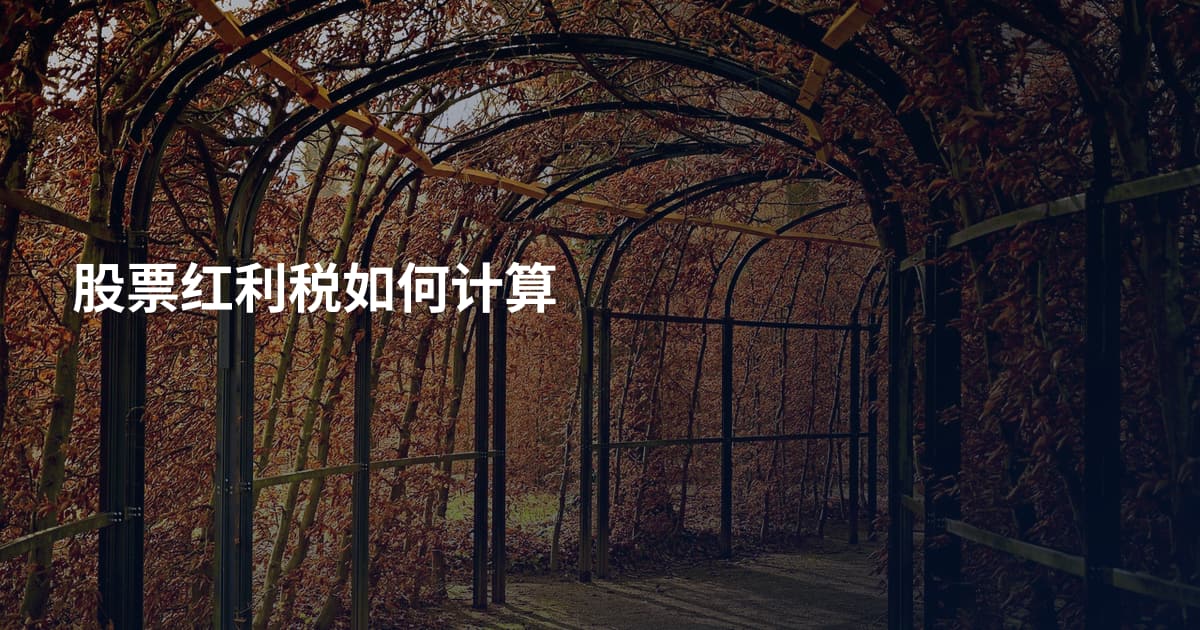股票红利税如何计算