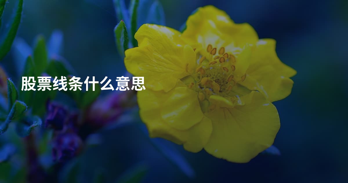 股票线条什么意思
