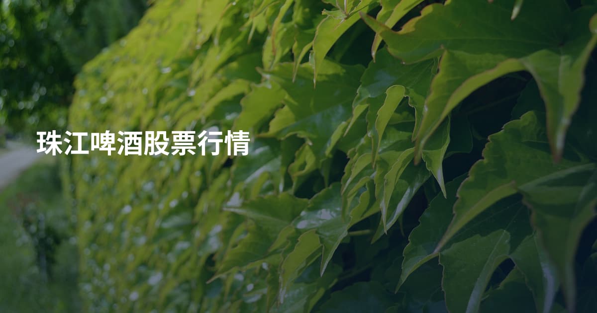 珠江啤酒股票行情