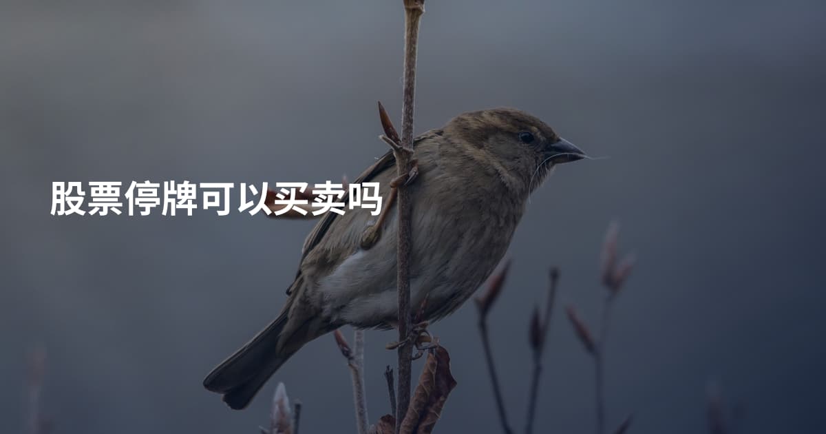股票停牌可以买卖吗