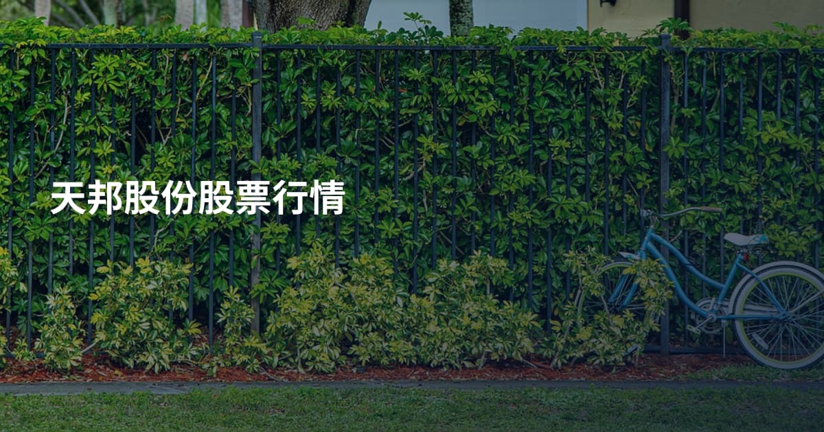 天邦股份股票行情