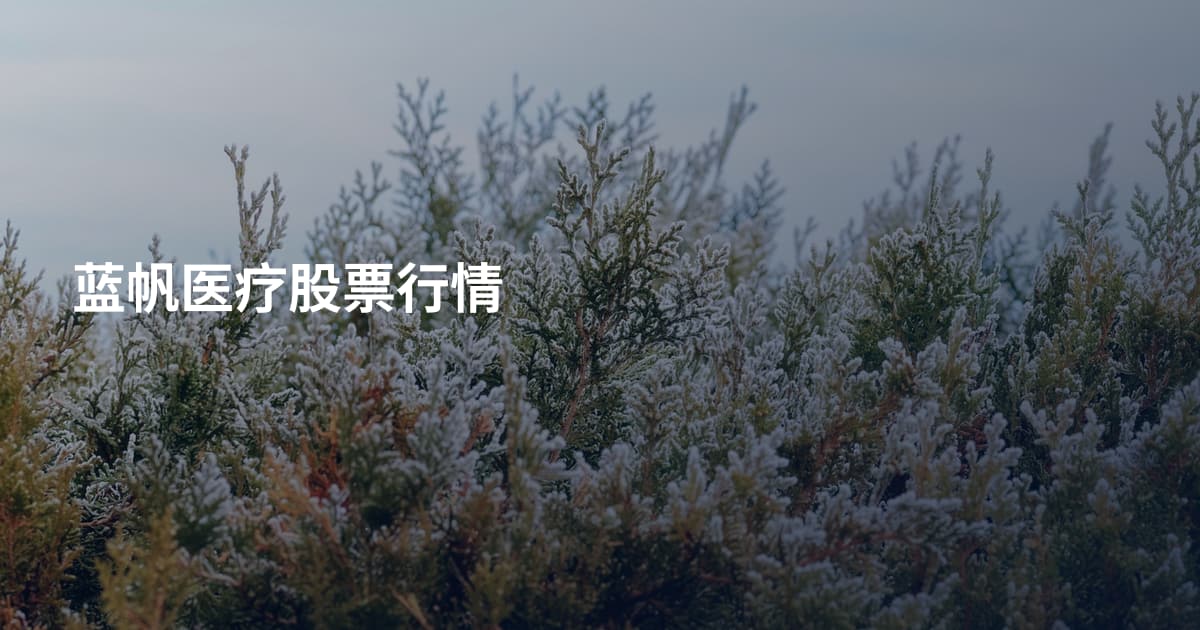蓝帆医疗股票行情