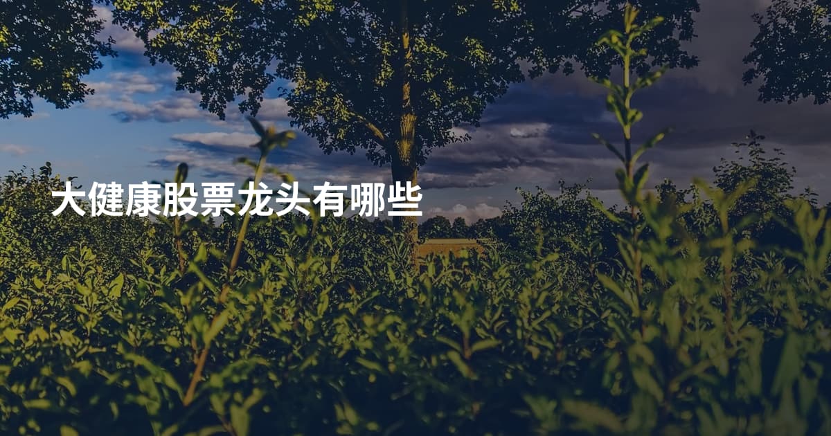 大健康股票龙头有哪些