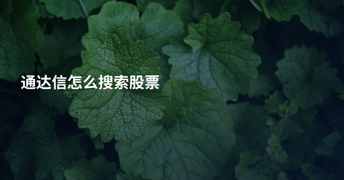 通达信怎么搜索股票