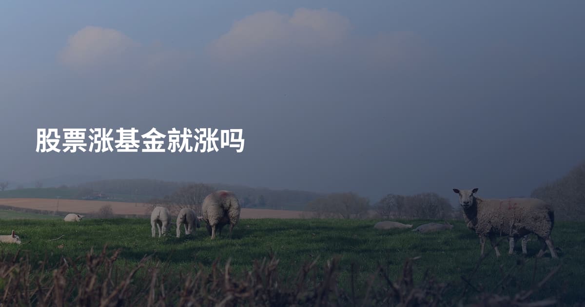 股票涨基金就涨吗