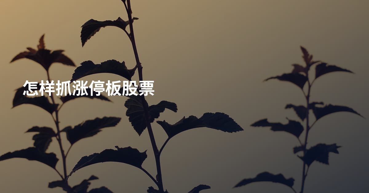 怎样抓涨停板股票
