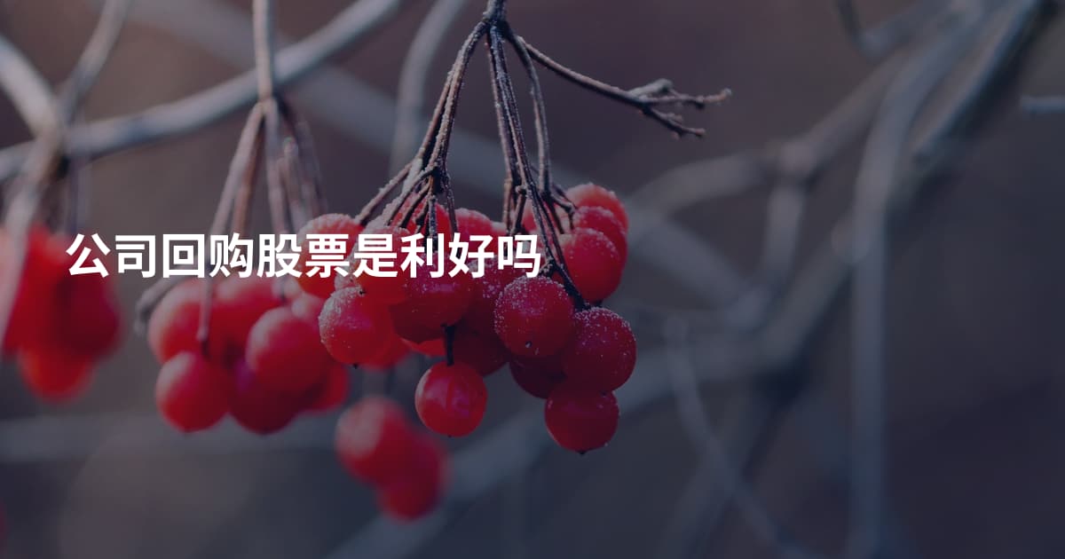 公司回购股票是利好吗