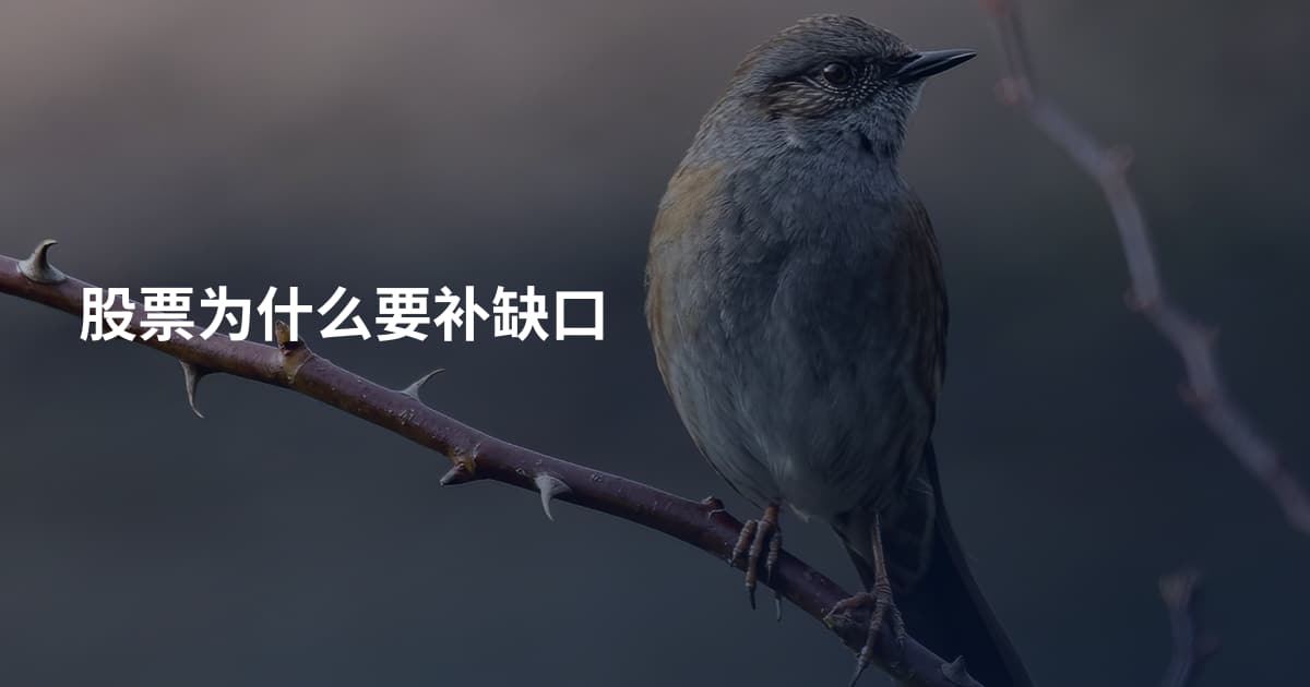 股票为什么要补缺口