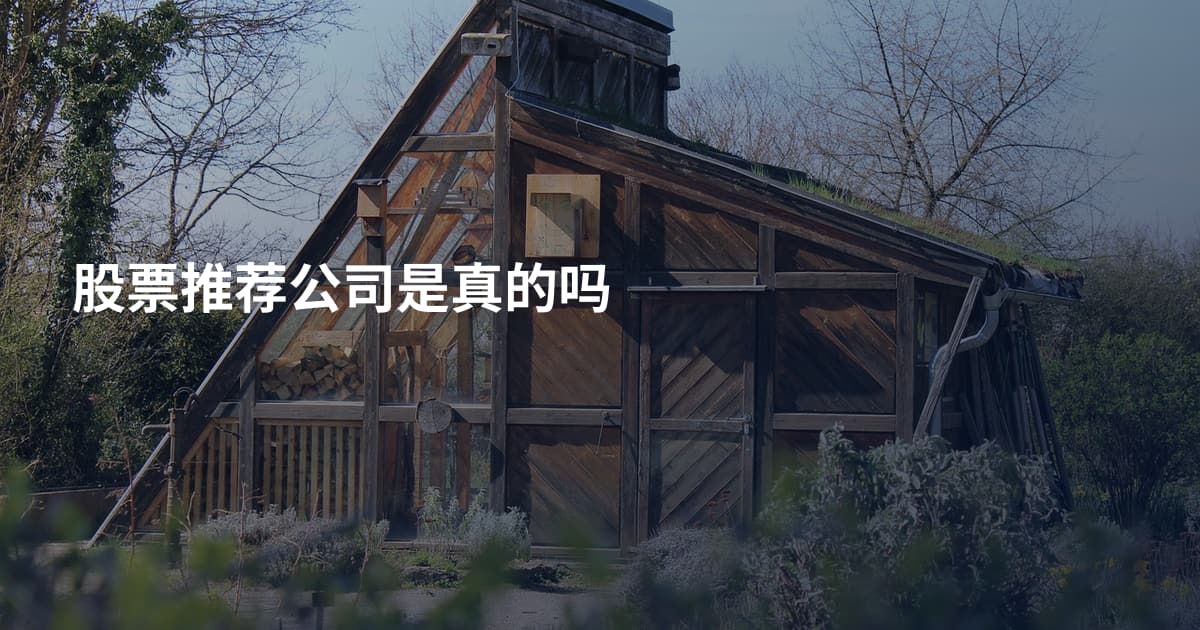 股票推荐公司是真的吗