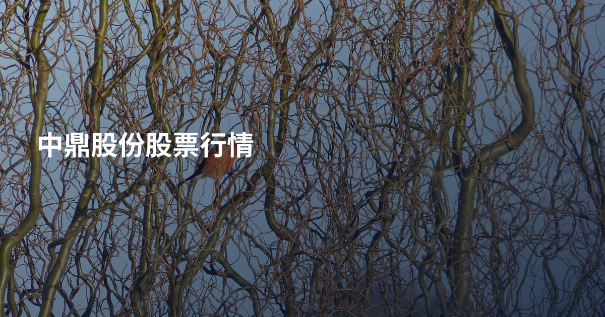 中鼎股份股票行情