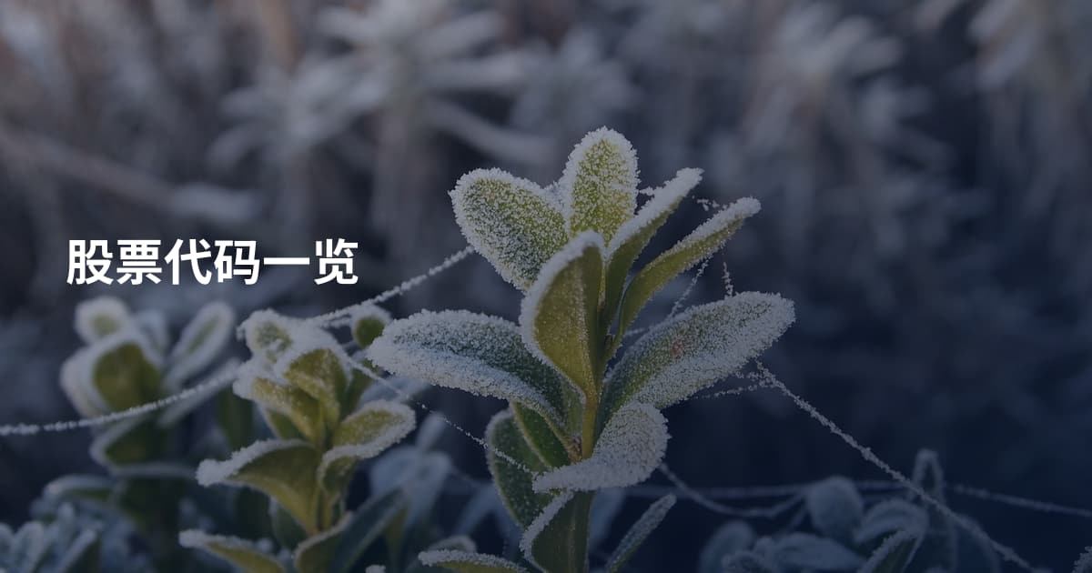 股票代码一览