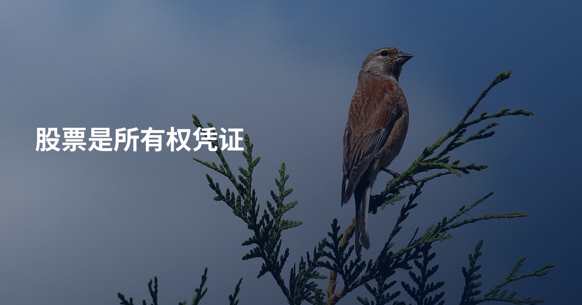 股票是所有权凭证