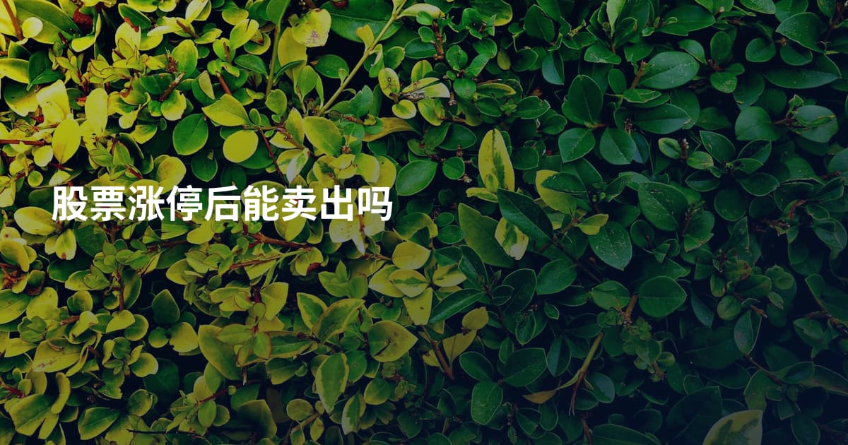 股票涨停后能卖出吗