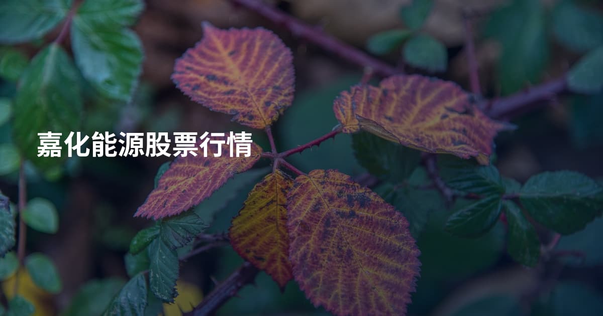嘉化能源股票行情