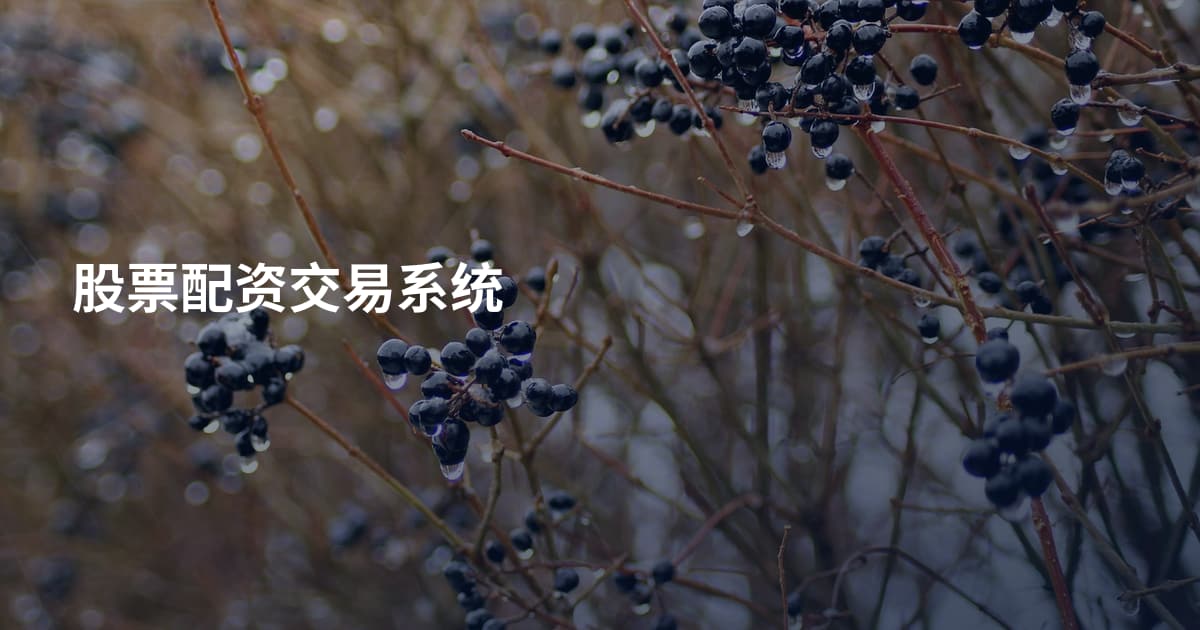 股票配资交易系统