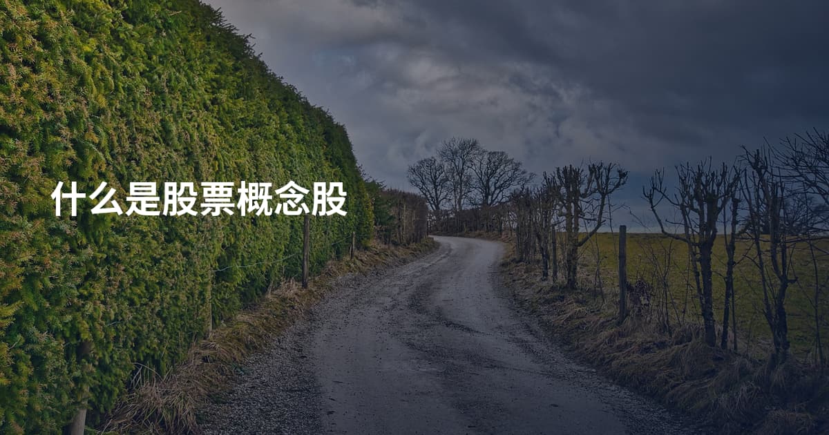 什么是股票概念股