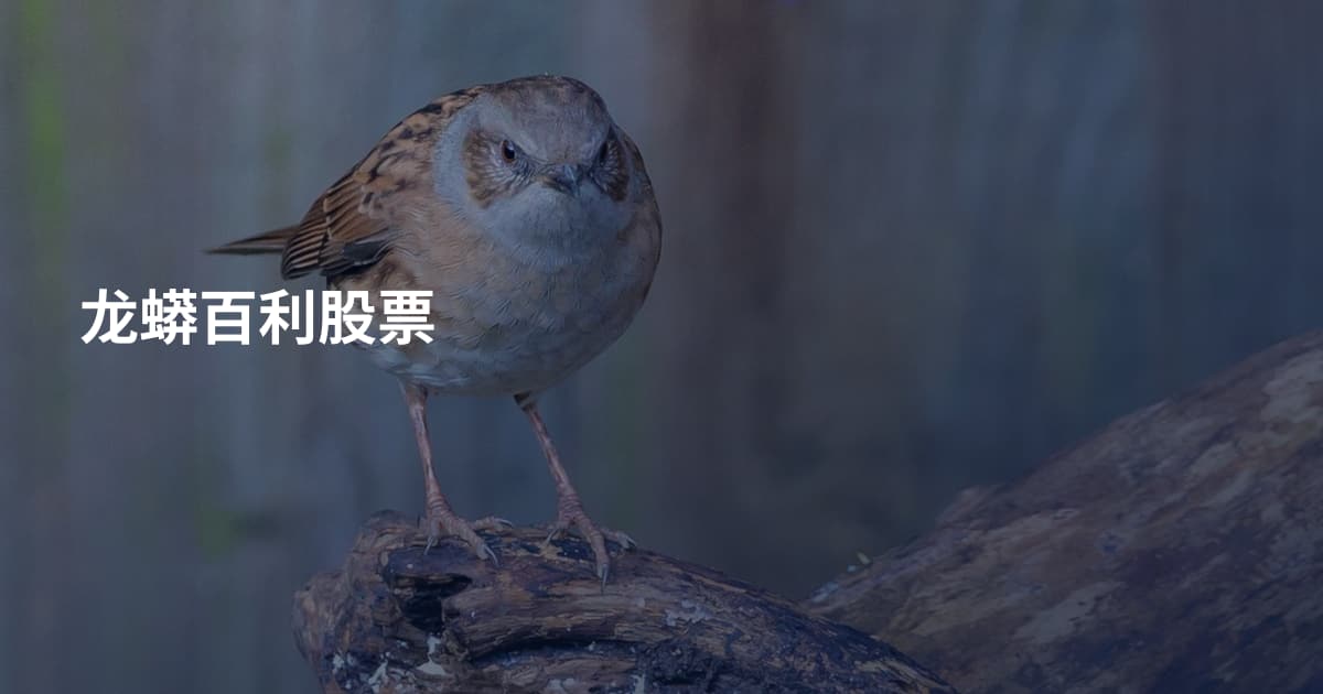 龙蟒百利股票