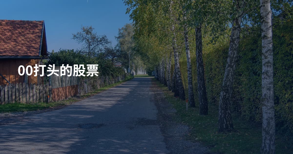 00打头的股票