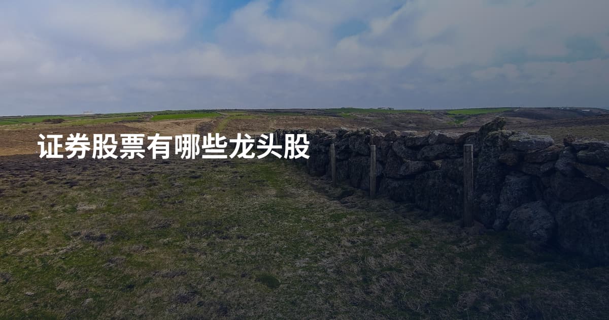 证券股票有哪些龙头股