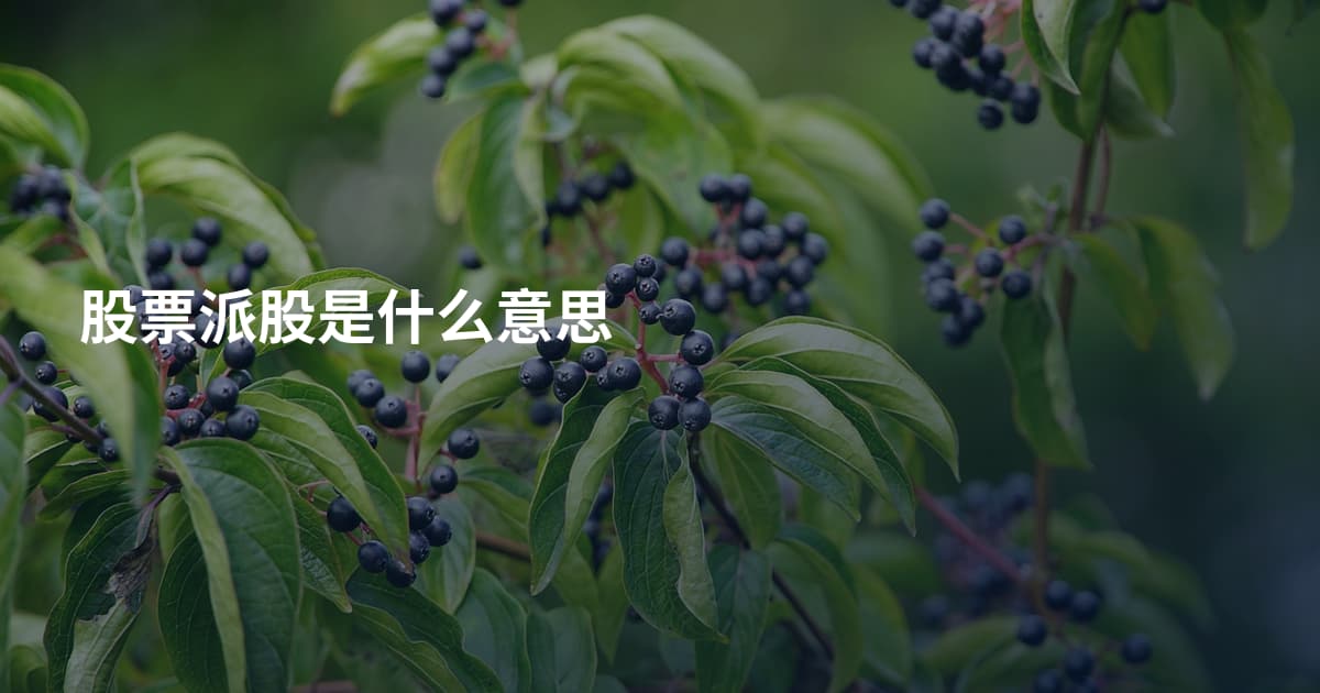 股票派股是什么意思
