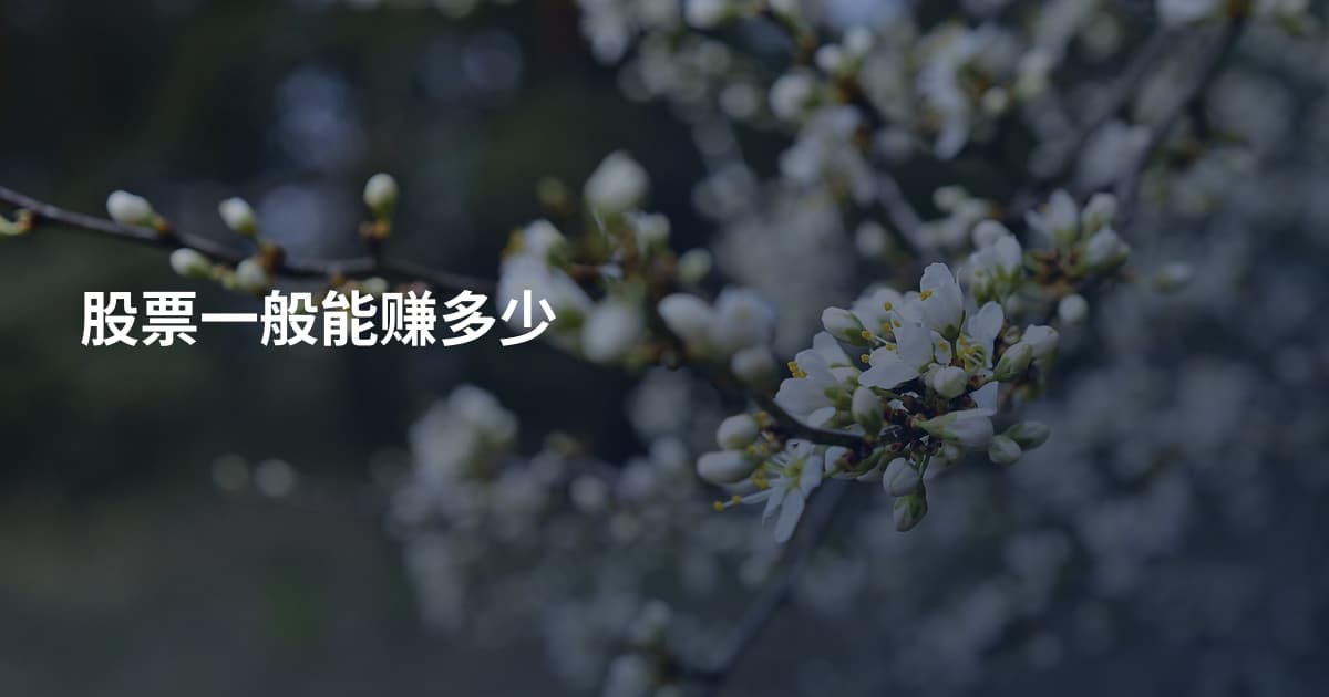 股票一般能赚多少