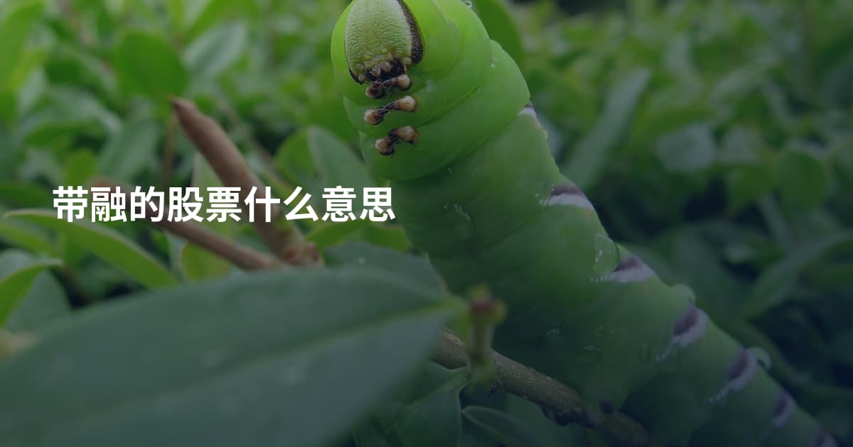 带融的股票什么意思