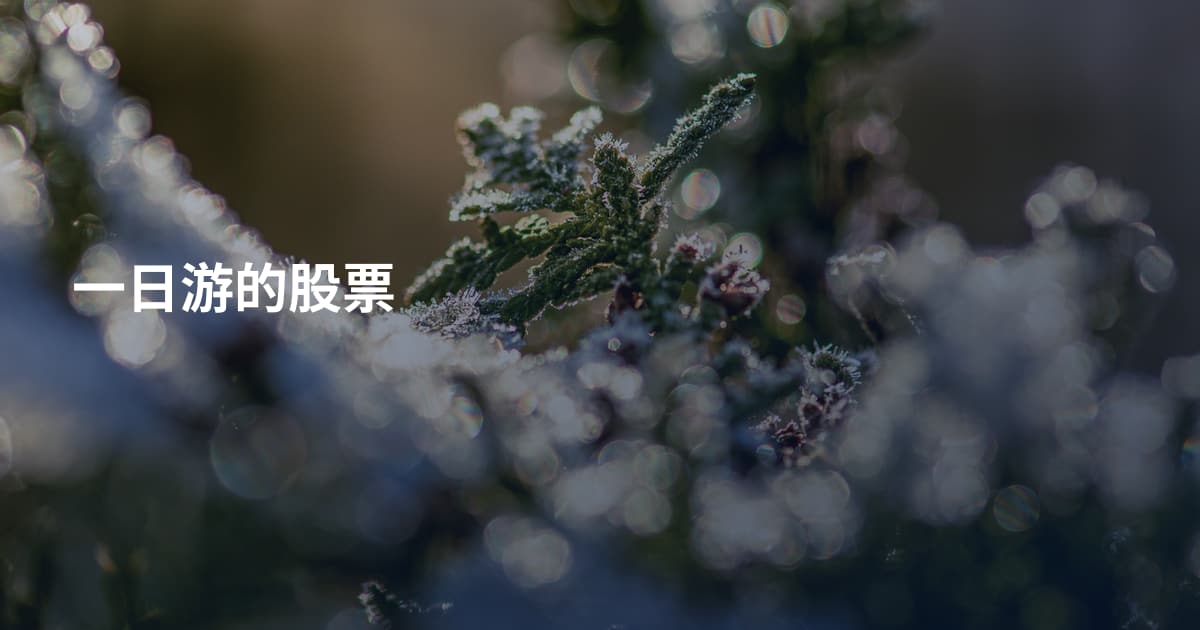 一日游的股票