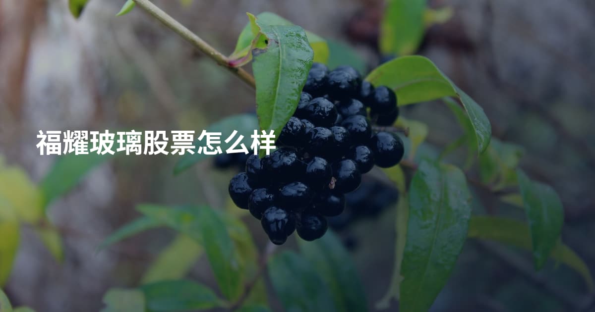 福耀玻璃股票怎么样