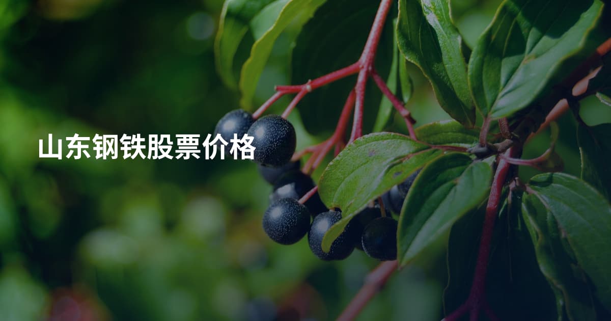 山东钢铁股票价格