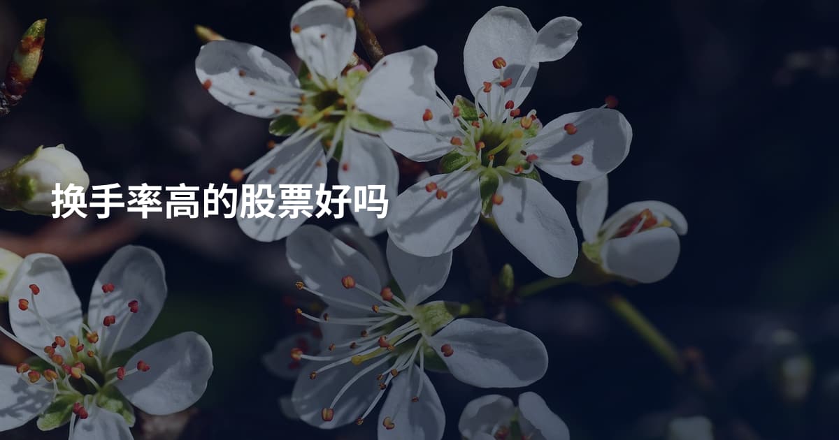 换手率高的股票好吗