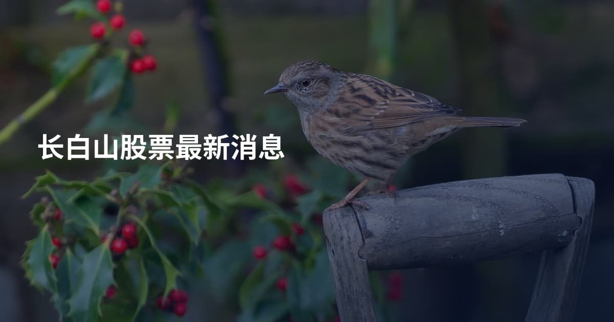 长白山股票最新消息