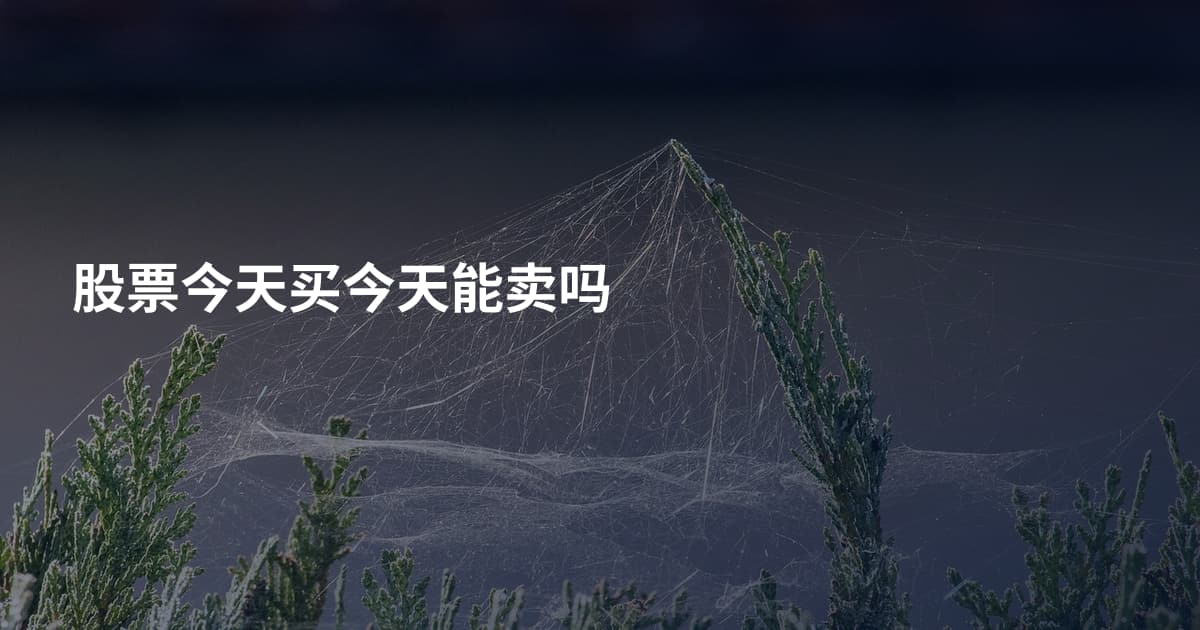 股票今天买今天能卖吗