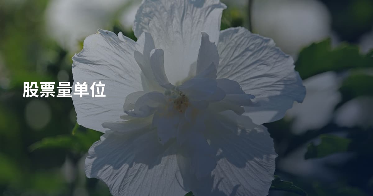 股票量单位