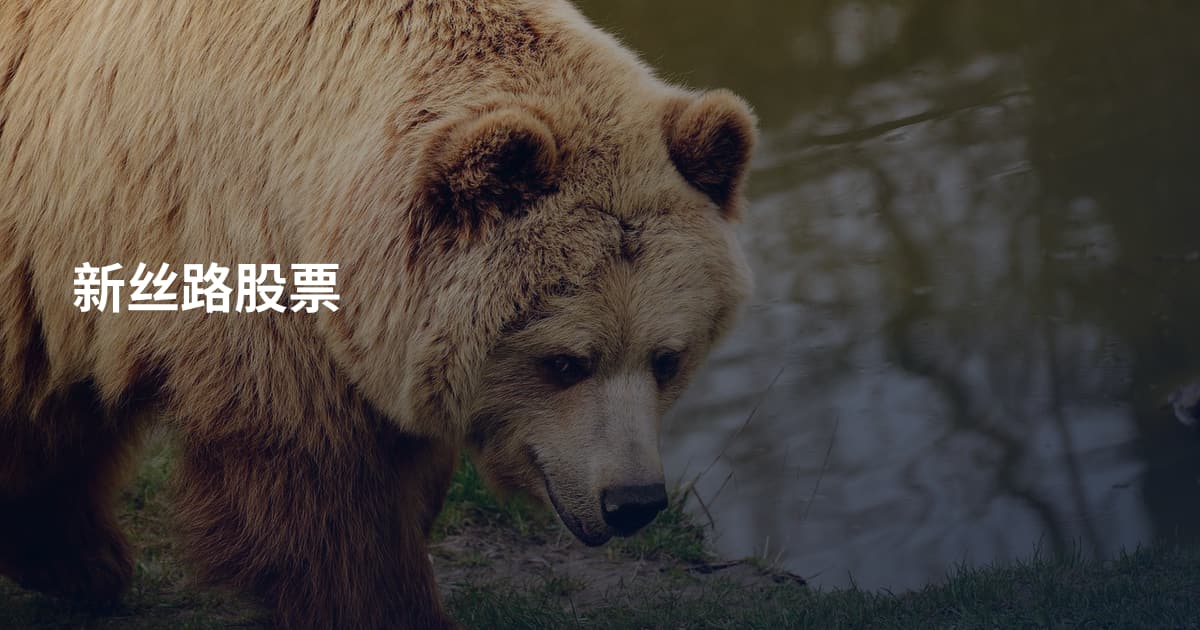 新丝路股票