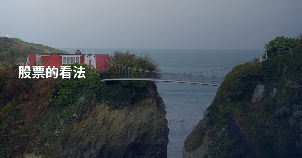 股票的看法