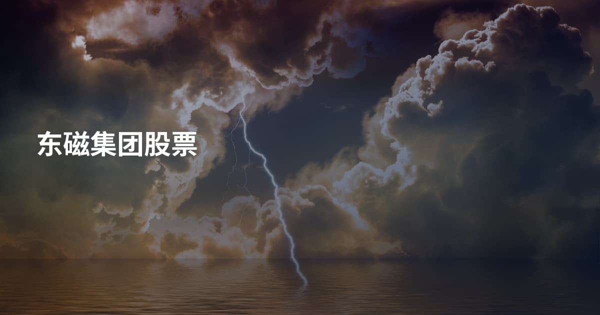 东磁集团股票