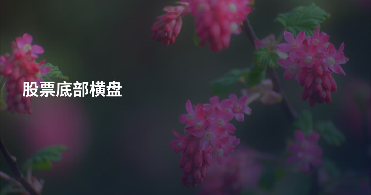 股票底部横盘