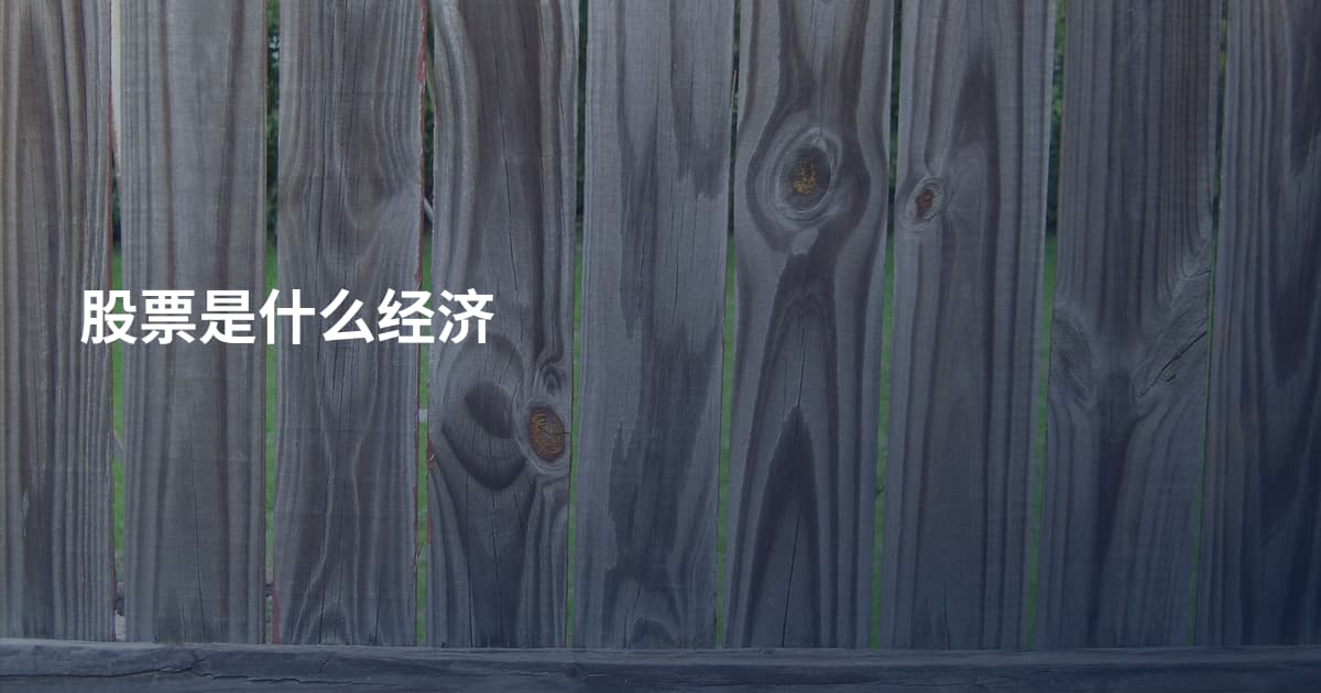 股票是什么经济