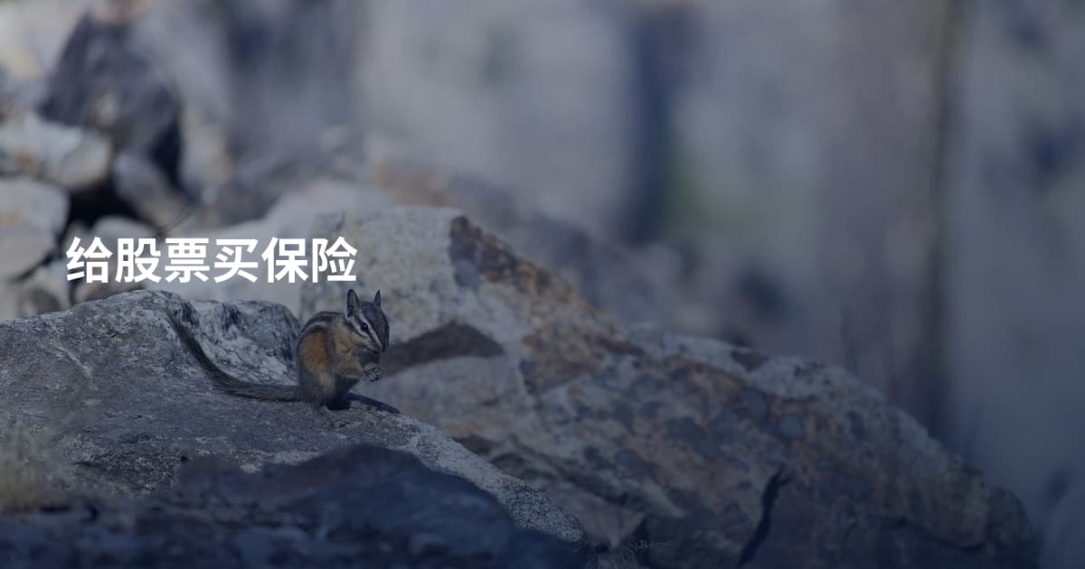 给股票买保险