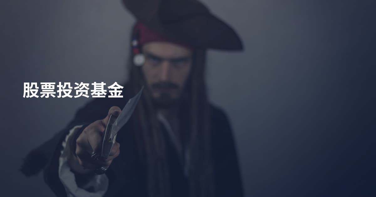 股票投资基金