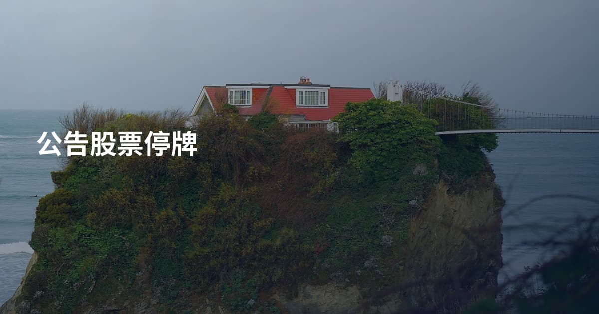 公告股票停牌