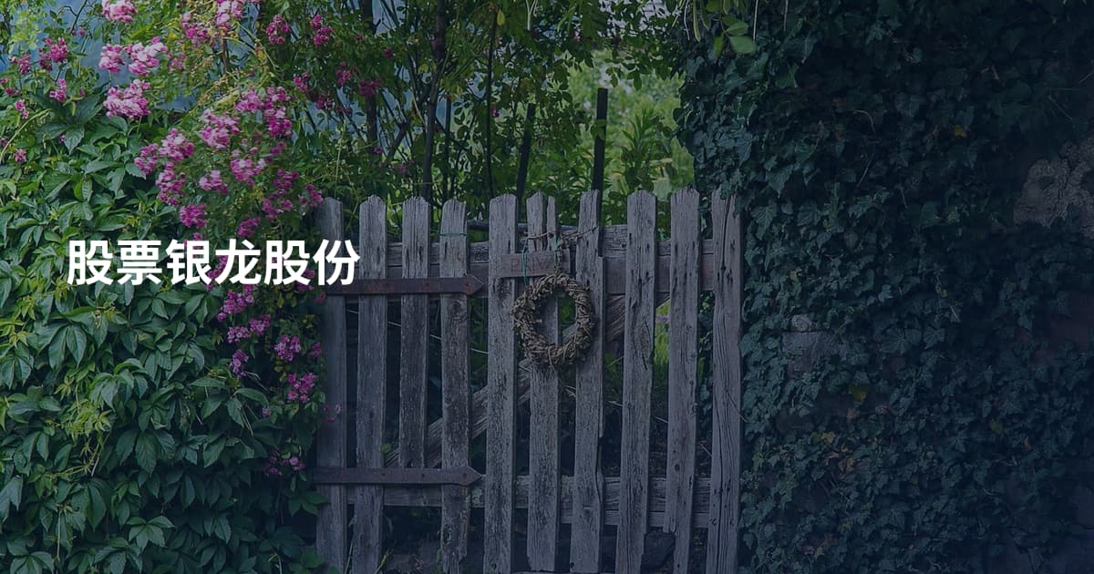 股票银龙股份