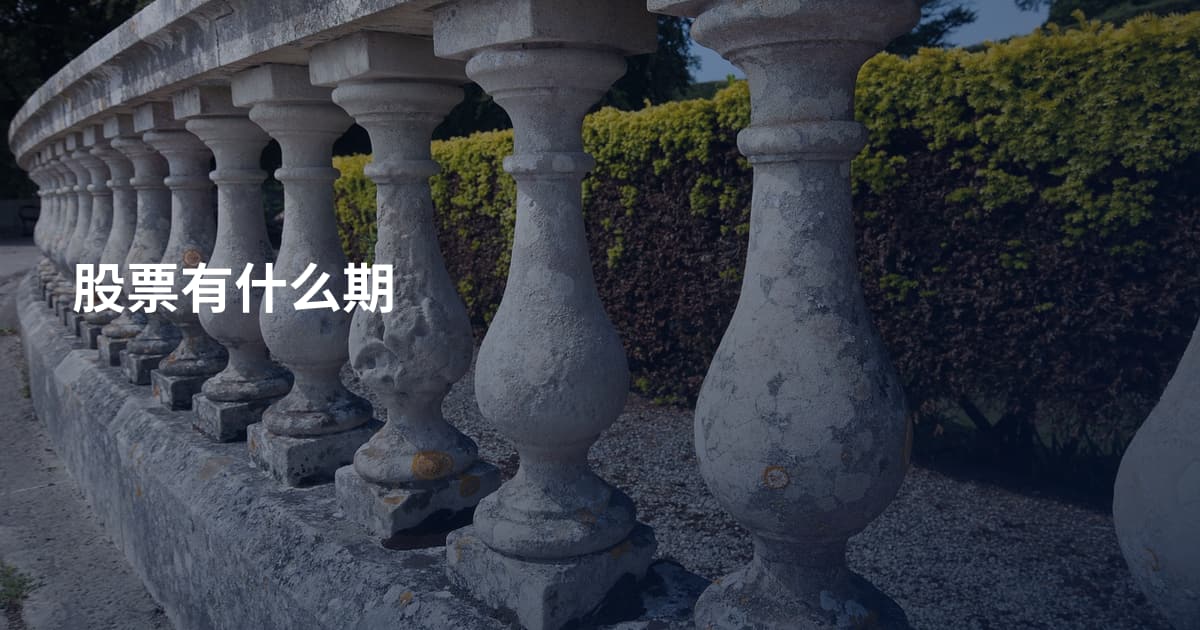 股票有什么期