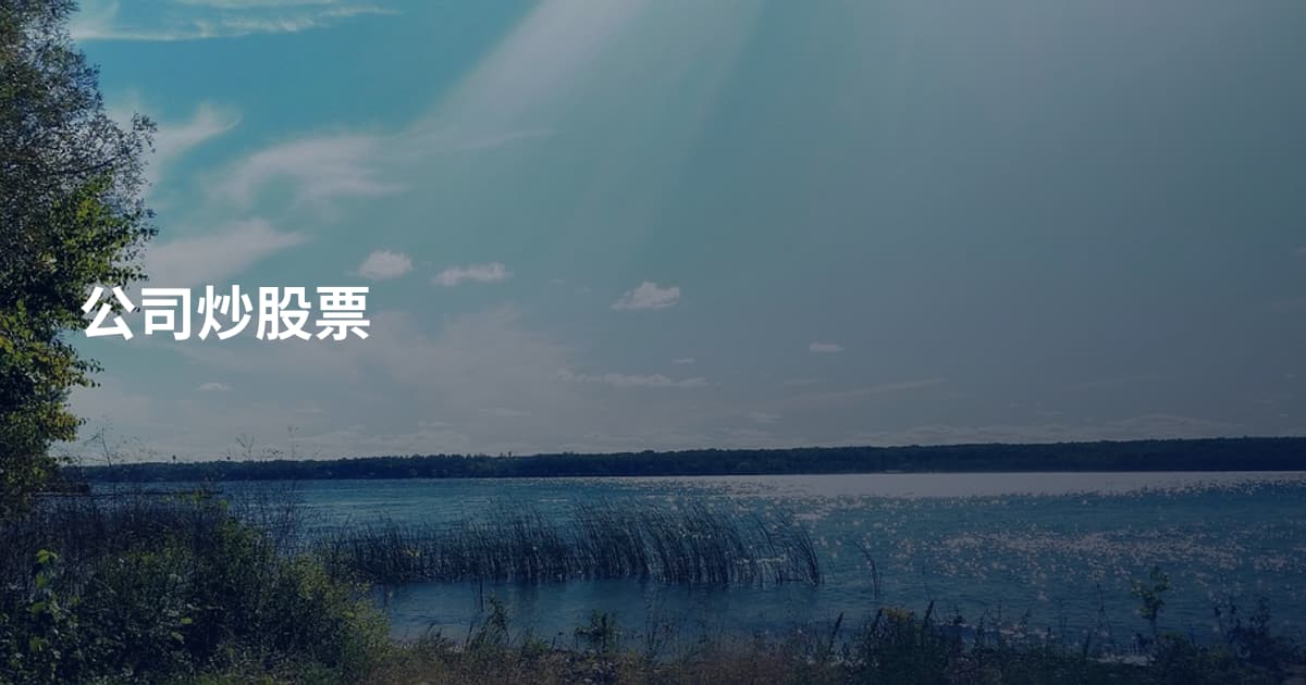 公司炒股票