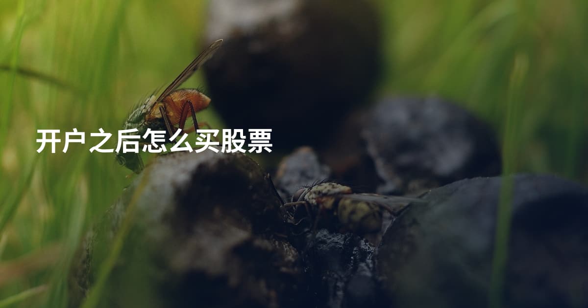 开户之后怎么买股票