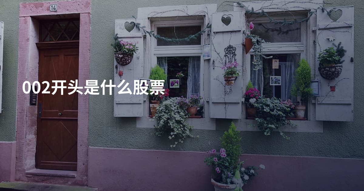 002开头是什么股票