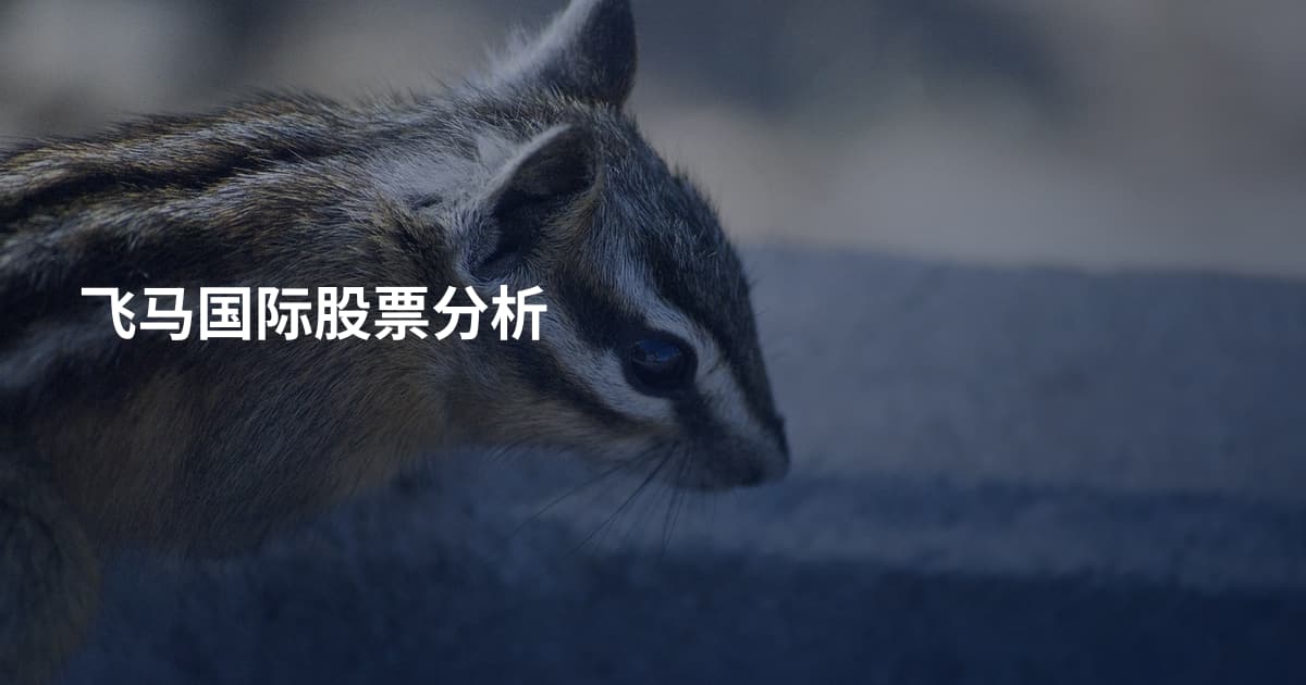 飞马国际股票分析