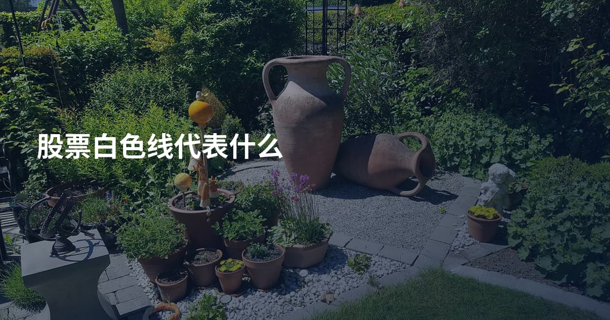 股票白色线代表什么