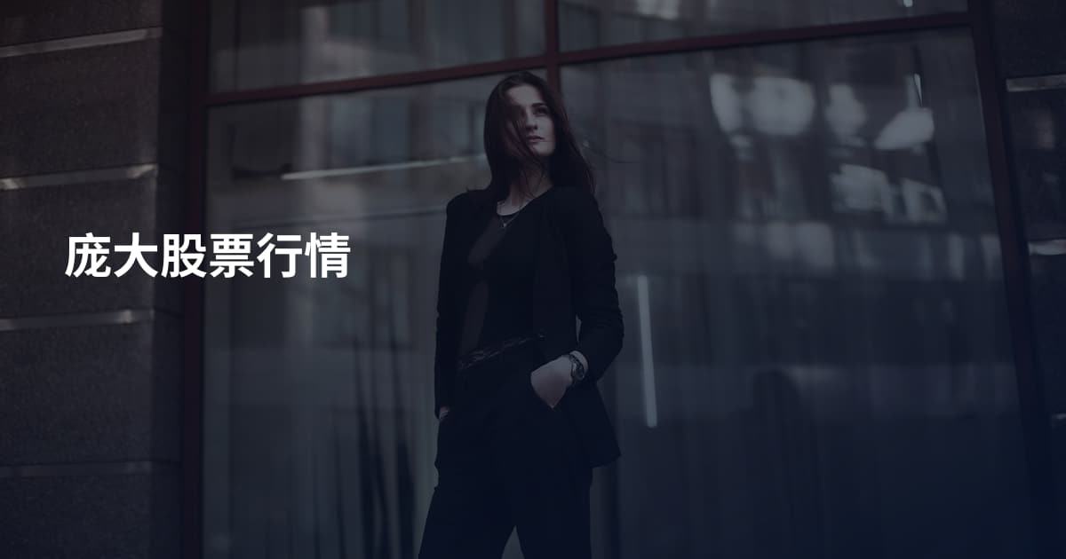庞大股票行情